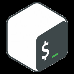 logo shell
